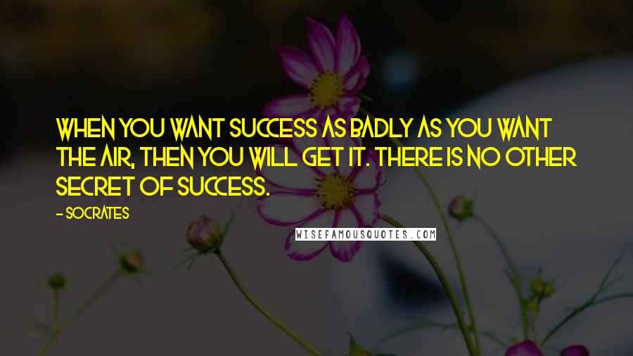 Socrates Quotes: When you want success as badly as you want the air, then you will get it. There is no other secret of success.