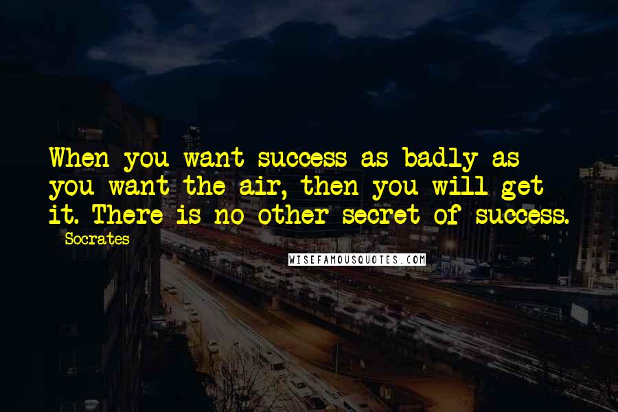 Socrates Quotes: When you want success as badly as you want the air, then you will get it. There is no other secret of success.