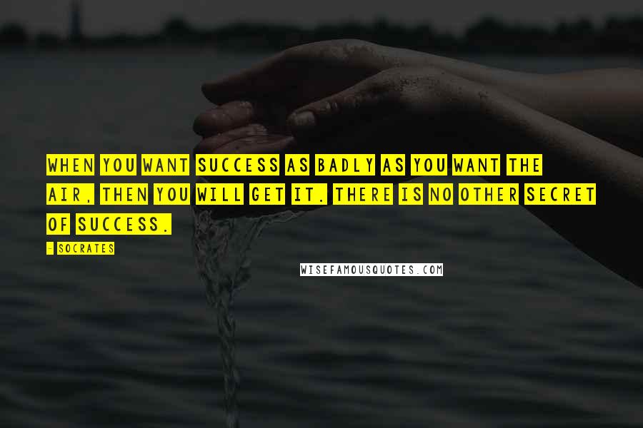 Socrates Quotes: When you want success as badly as you want the air, then you will get it. There is no other secret of success.