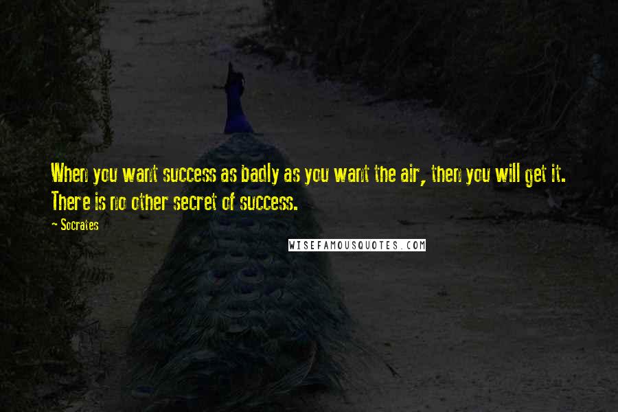 Socrates Quotes: When you want success as badly as you want the air, then you will get it. There is no other secret of success.