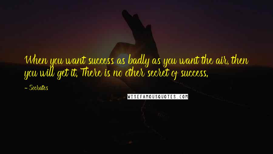 Socrates Quotes: When you want success as badly as you want the air, then you will get it. There is no other secret of success.