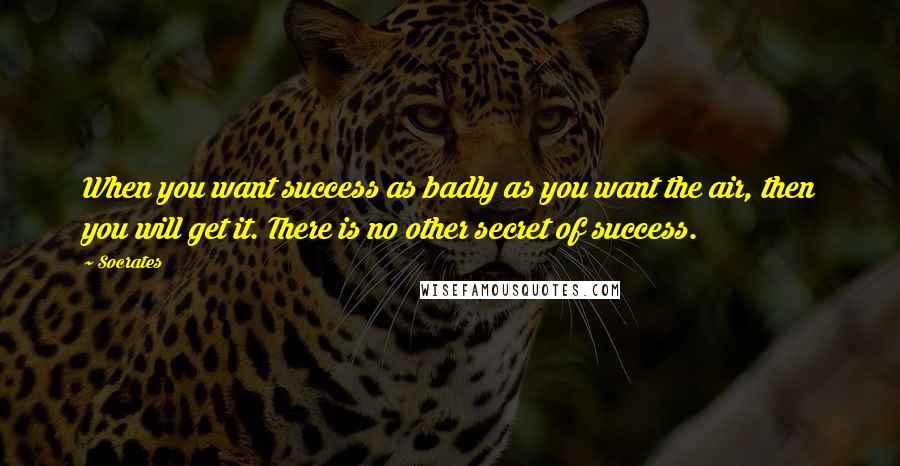 Socrates Quotes: When you want success as badly as you want the air, then you will get it. There is no other secret of success.