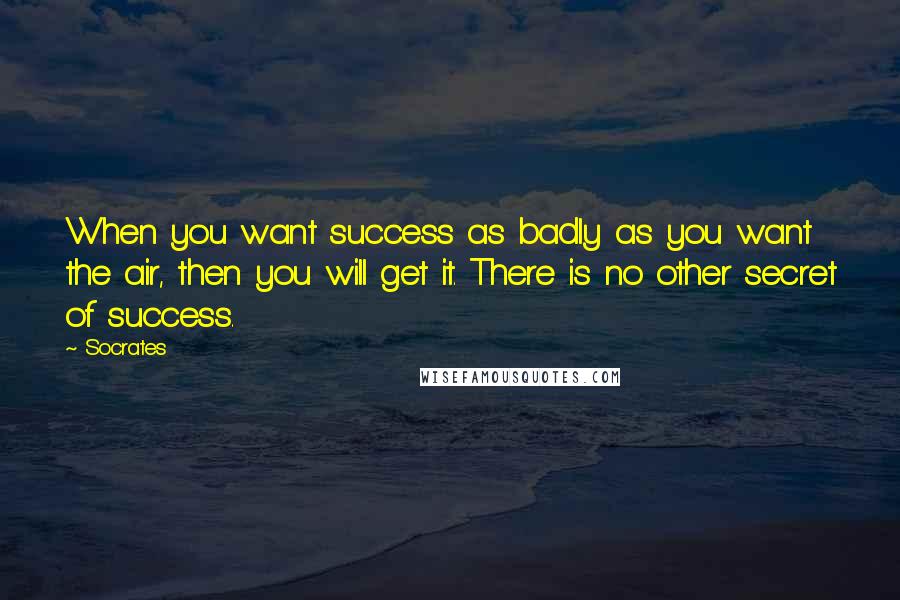 Socrates Quotes: When you want success as badly as you want the air, then you will get it. There is no other secret of success.