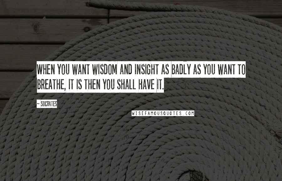 Socrates Quotes: When you want wisdom and insight as badly as you want to breathe, it is then you shall have it.