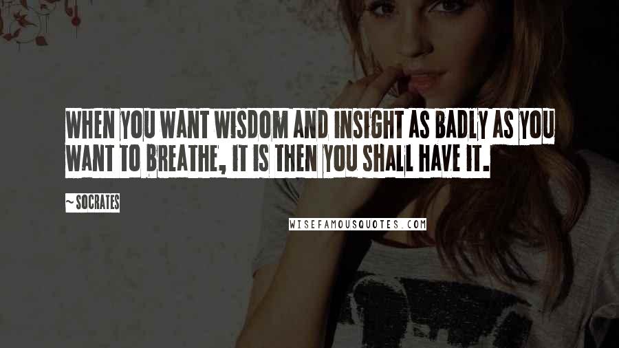 Socrates Quotes: When you want wisdom and insight as badly as you want to breathe, it is then you shall have it.