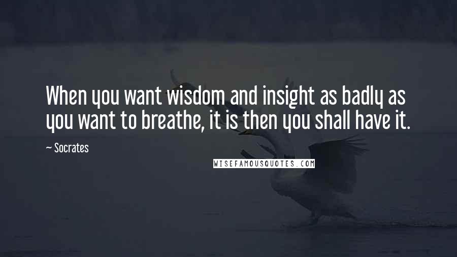 Socrates Quotes: When you want wisdom and insight as badly as you want to breathe, it is then you shall have it.