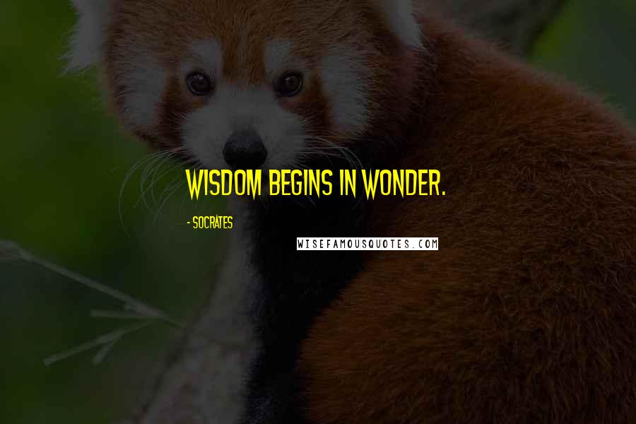 Socrates Quotes: Wisdom begins in wonder.