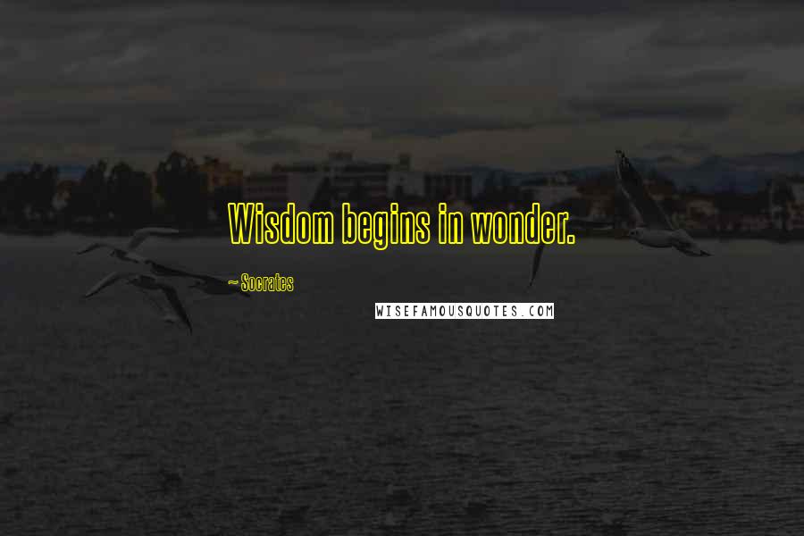 Socrates Quotes: Wisdom begins in wonder.