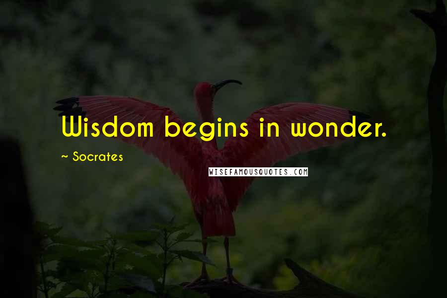 Socrates Quotes: Wisdom begins in wonder.