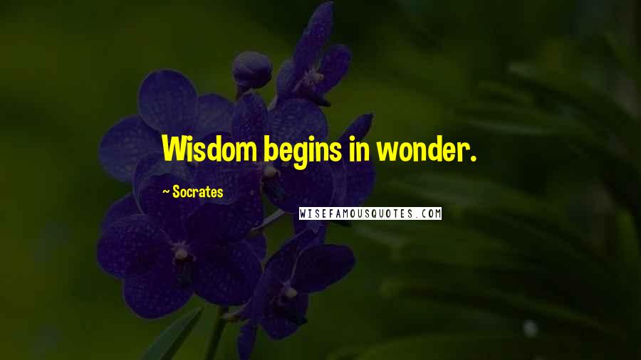 Socrates Quotes: Wisdom begins in wonder.