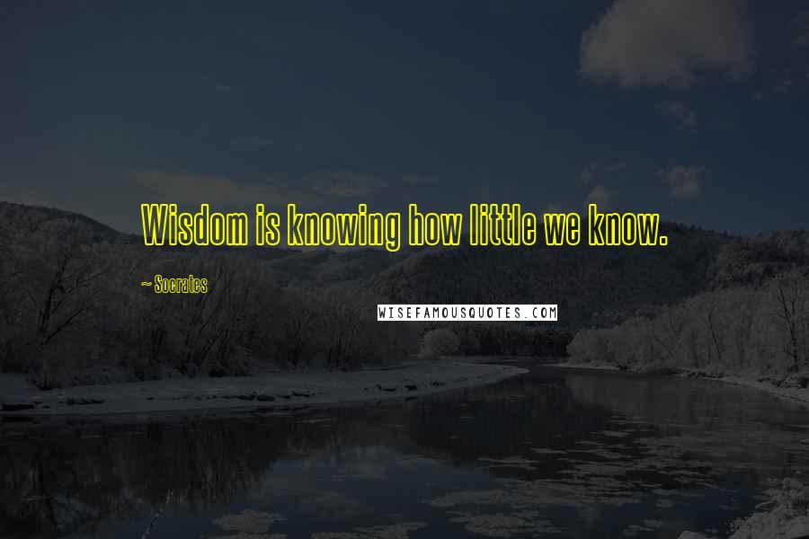 Socrates Quotes: Wisdom is knowing how little we know.