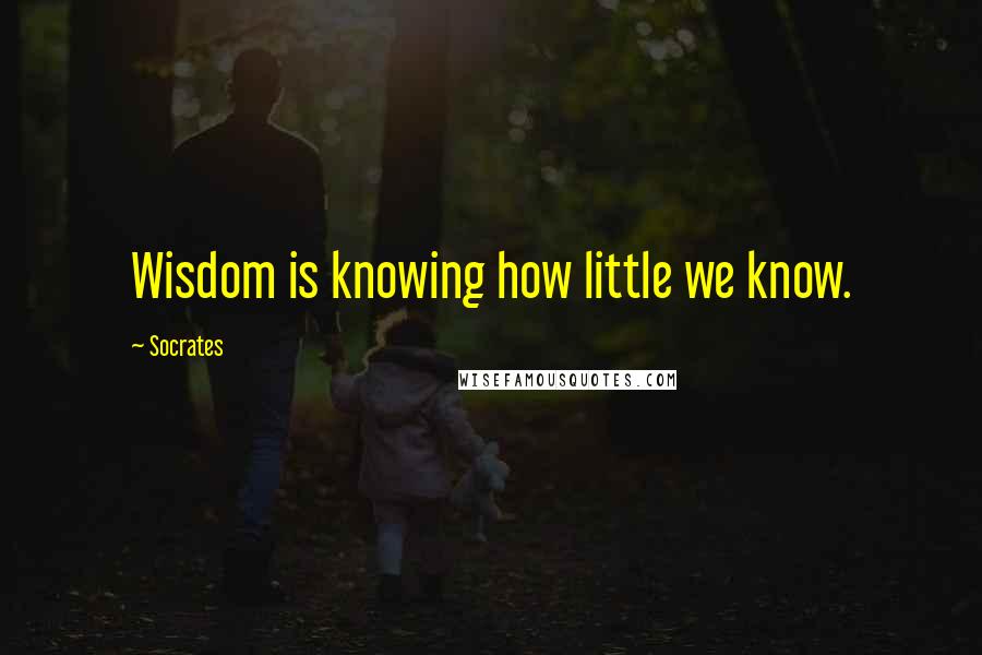 Socrates Quotes: Wisdom is knowing how little we know.