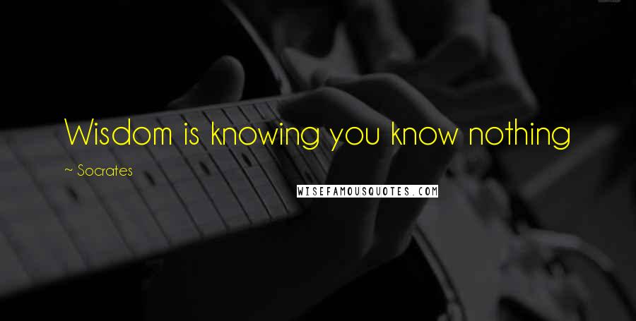 Socrates Quotes: Wisdom is knowing you know nothing