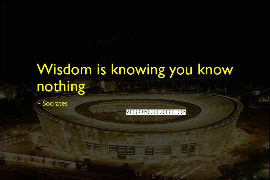 Socrates Quotes: Wisdom is knowing you know nothing