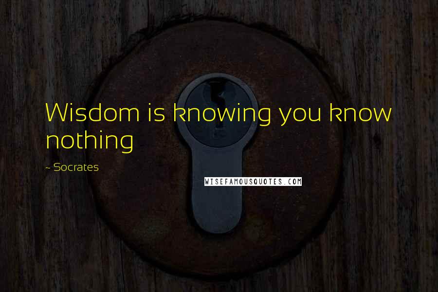 Socrates Quotes: Wisdom is knowing you know nothing