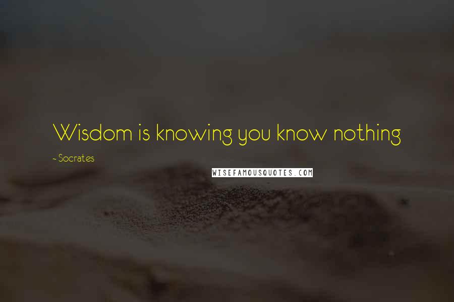 Socrates Quotes: Wisdom is knowing you know nothing