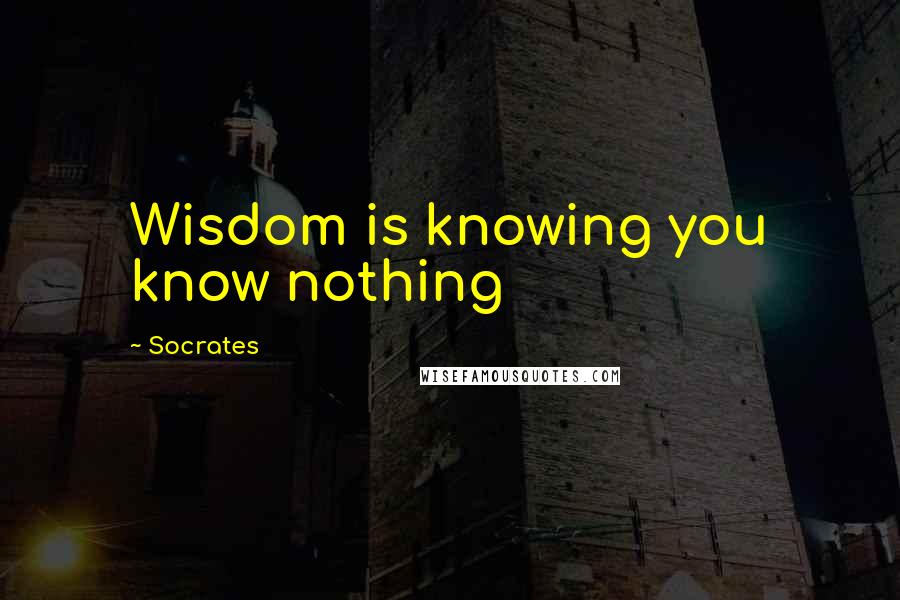 Socrates Quotes: Wisdom is knowing you know nothing