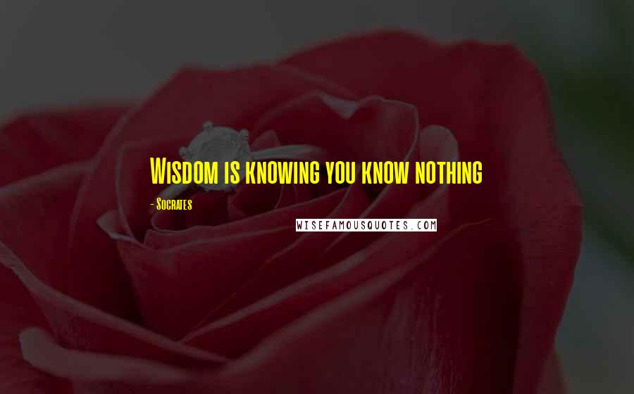 Socrates Quotes: Wisdom is knowing you know nothing