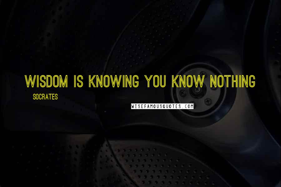 Socrates Quotes: Wisdom is knowing you know nothing