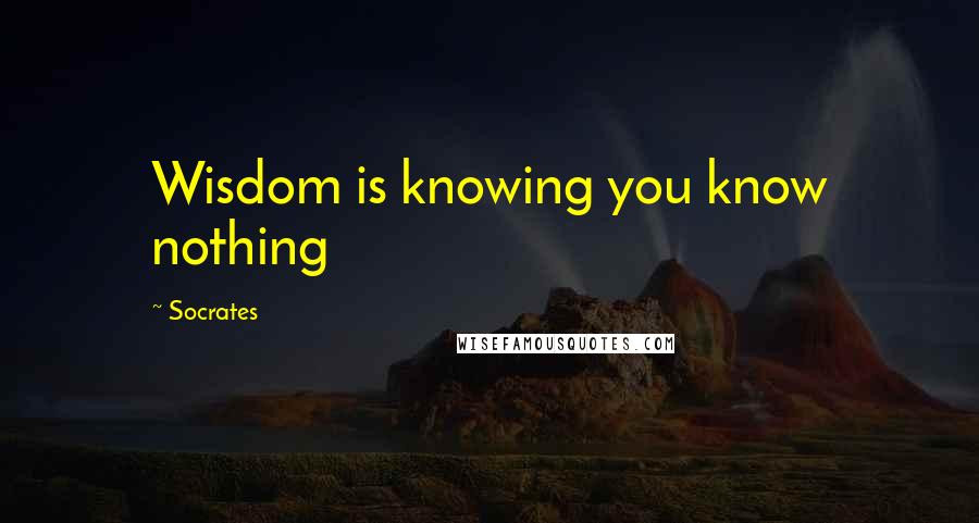 Socrates Quotes: Wisdom is knowing you know nothing