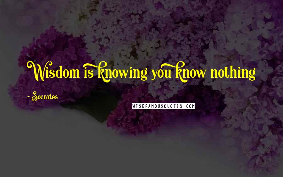 Socrates Quotes: Wisdom is knowing you know nothing