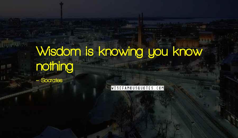 Socrates Quotes: Wisdom is knowing you know nothing