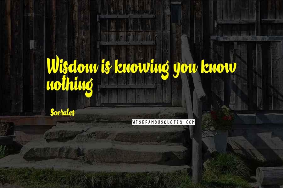 Socrates Quotes: Wisdom is knowing you know nothing