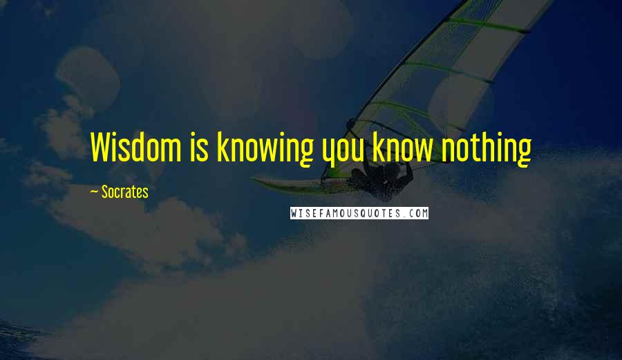 Socrates Quotes: Wisdom is knowing you know nothing