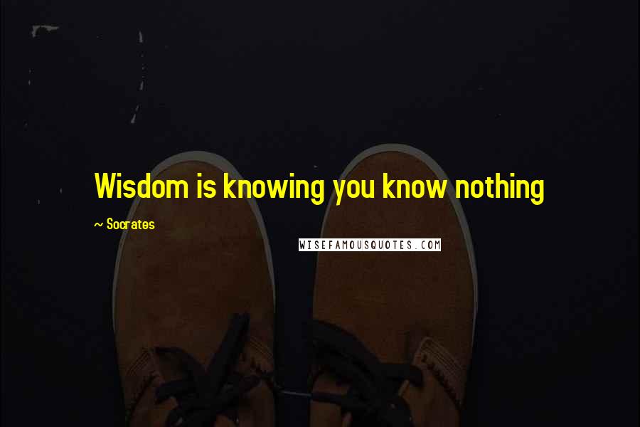 Socrates Quotes: Wisdom is knowing you know nothing