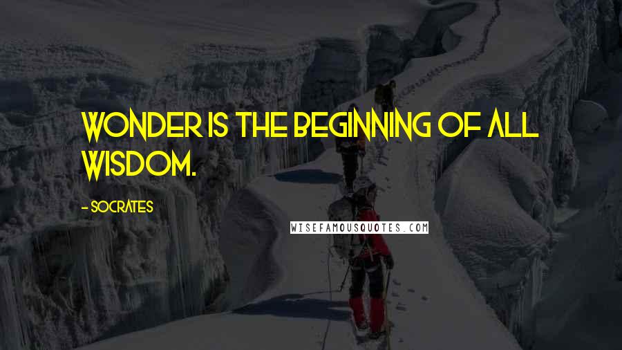 Socrates Quotes: Wonder is the beginning of all wisdom.