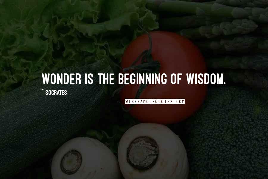 Socrates Quotes: Wonder is the beginning of wisdom.