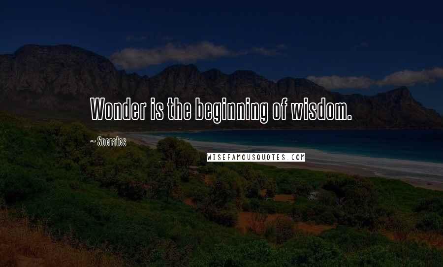 Socrates Quotes: Wonder is the beginning of wisdom.