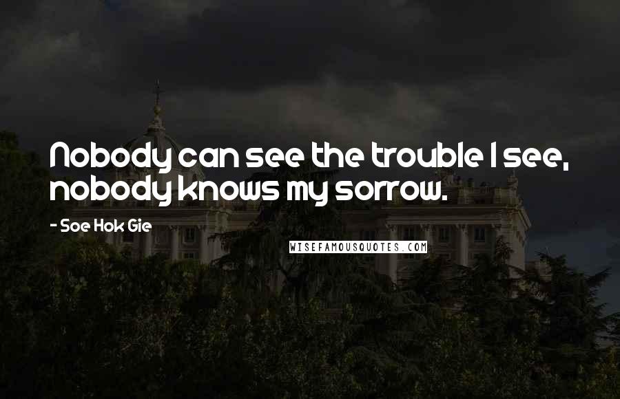 Soe Hok Gie Quotes: Nobody can see the trouble I see, nobody knows my sorrow.