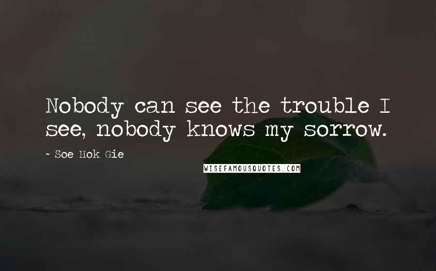 Soe Hok Gie Quotes: Nobody can see the trouble I see, nobody knows my sorrow.