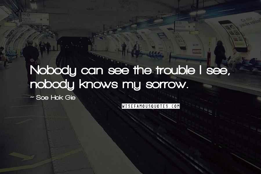 Soe Hok Gie Quotes: Nobody can see the trouble I see, nobody knows my sorrow.