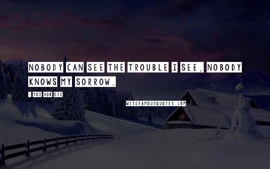 Soe Hok Gie Quotes: Nobody can see the trouble I see, nobody knows my sorrow.