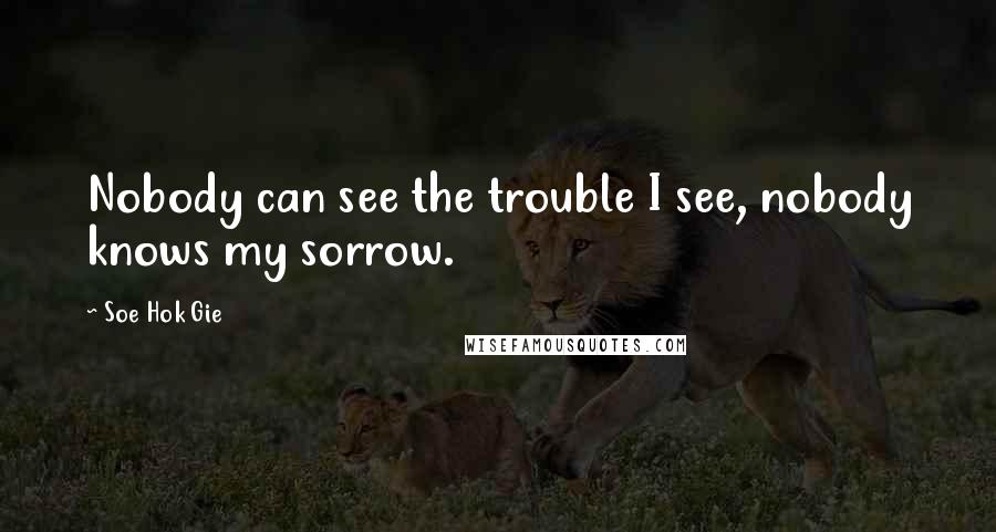 Soe Hok Gie Quotes: Nobody can see the trouble I see, nobody knows my sorrow.