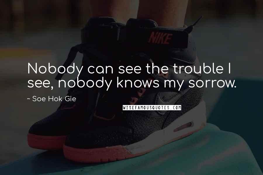 Soe Hok Gie Quotes: Nobody can see the trouble I see, nobody knows my sorrow.