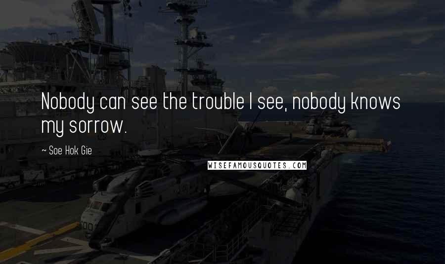 Soe Hok Gie Quotes: Nobody can see the trouble I see, nobody knows my sorrow.