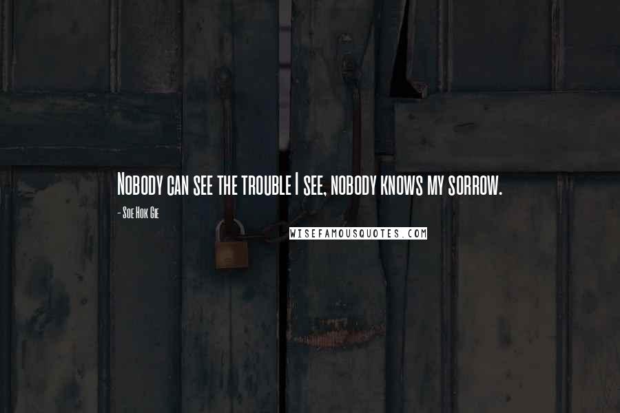 Soe Hok Gie Quotes: Nobody can see the trouble I see, nobody knows my sorrow.