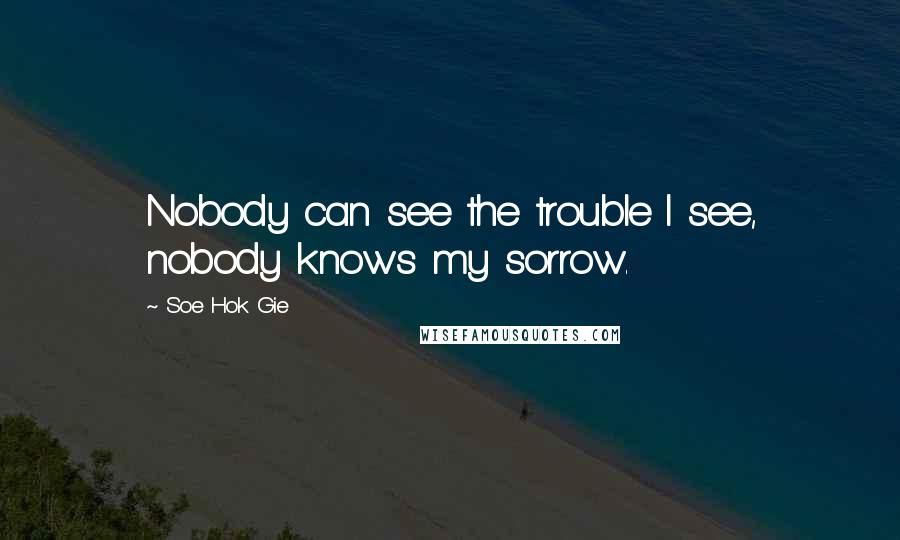 Soe Hok Gie Quotes: Nobody can see the trouble I see, nobody knows my sorrow.