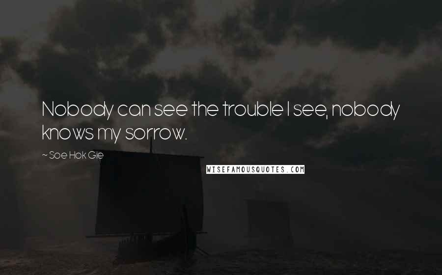 Soe Hok Gie Quotes: Nobody can see the trouble I see, nobody knows my sorrow.