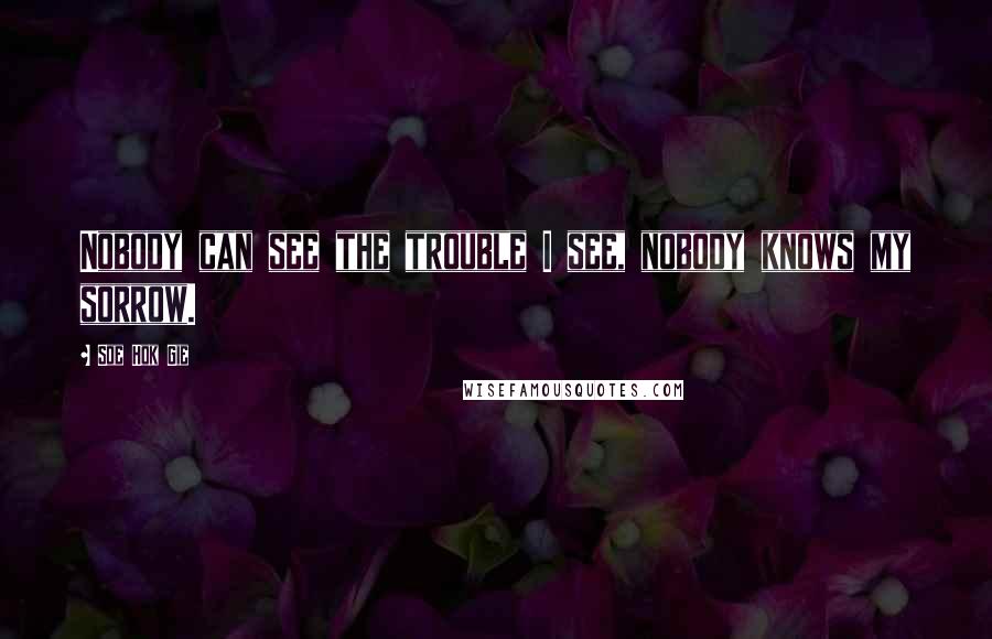 Soe Hok Gie Quotes: Nobody can see the trouble I see, nobody knows my sorrow.