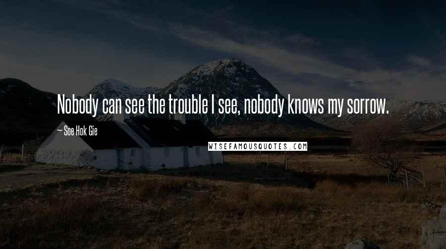 Soe Hok Gie Quotes: Nobody can see the trouble I see, nobody knows my sorrow.