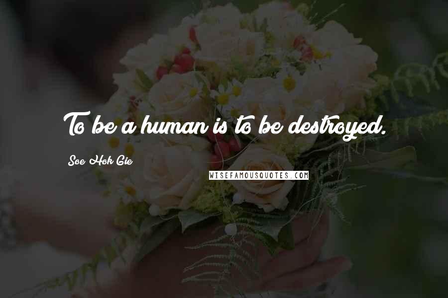 Soe Hok Gie Quotes: To be a human is to be destroyed.
