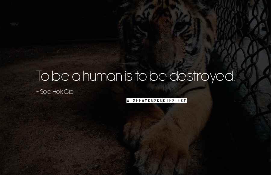Soe Hok Gie Quotes: To be a human is to be destroyed.