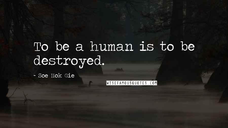 Soe Hok Gie Quotes: To be a human is to be destroyed.