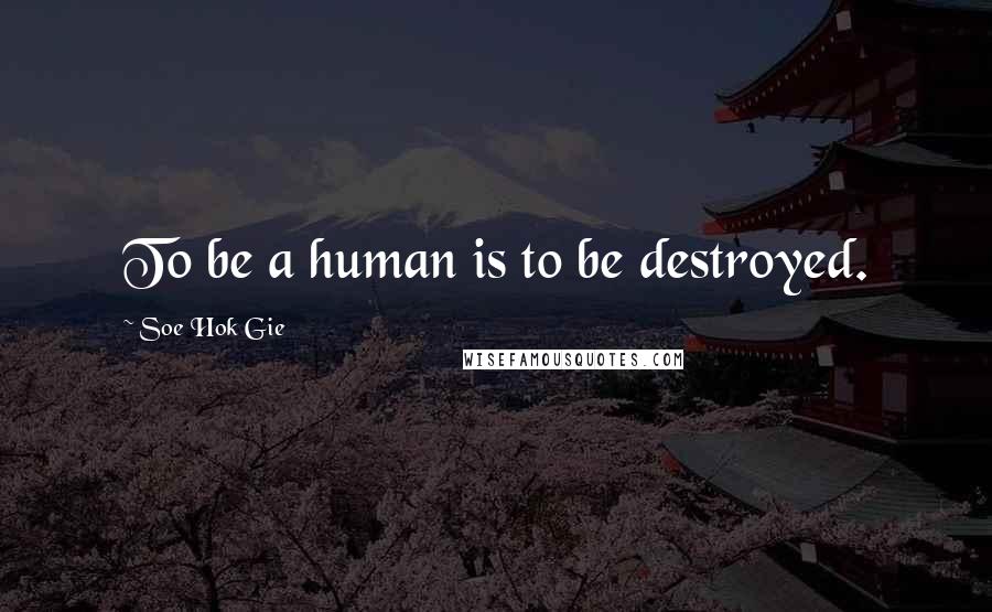 Soe Hok Gie Quotes: To be a human is to be destroyed.