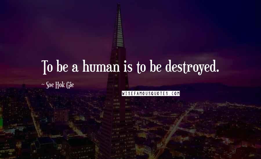 Soe Hok Gie Quotes: To be a human is to be destroyed.