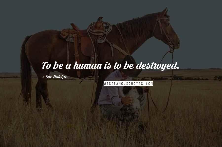 Soe Hok Gie Quotes: To be a human is to be destroyed.